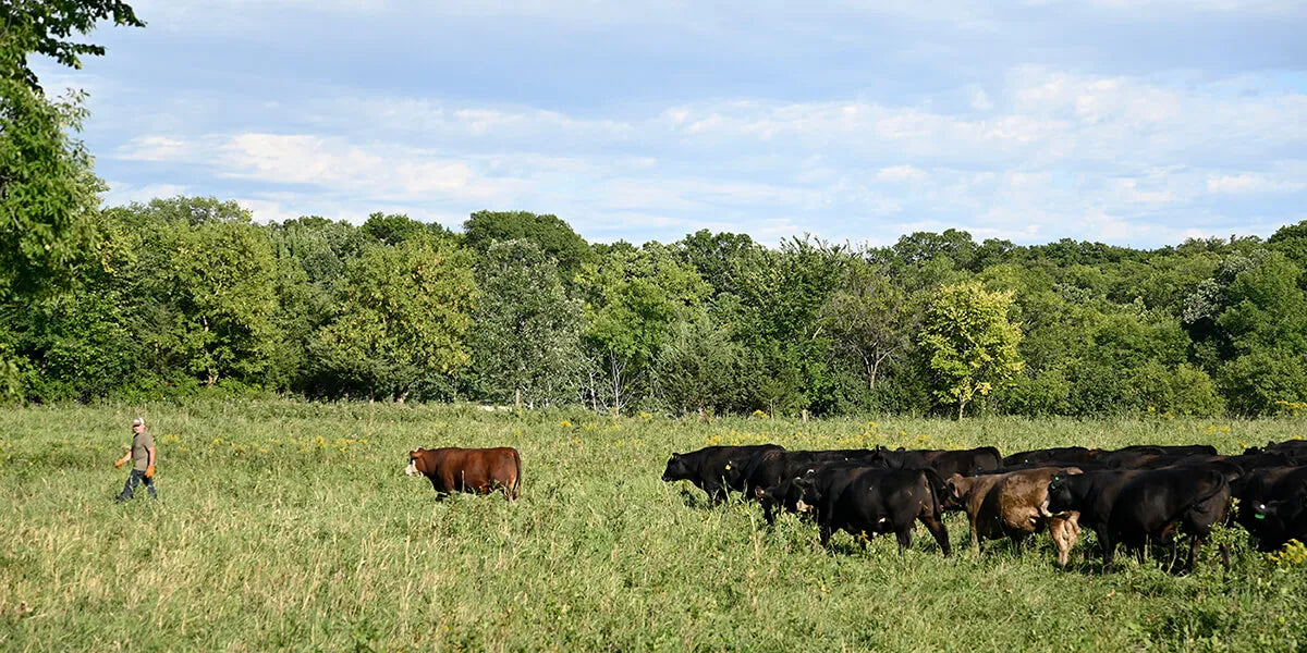 Thousand Hills Cattle Company photo 2