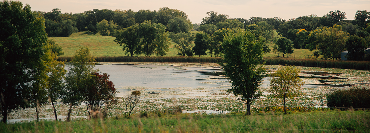 LIVESTOCK MANAGEMENT & WATERSHED